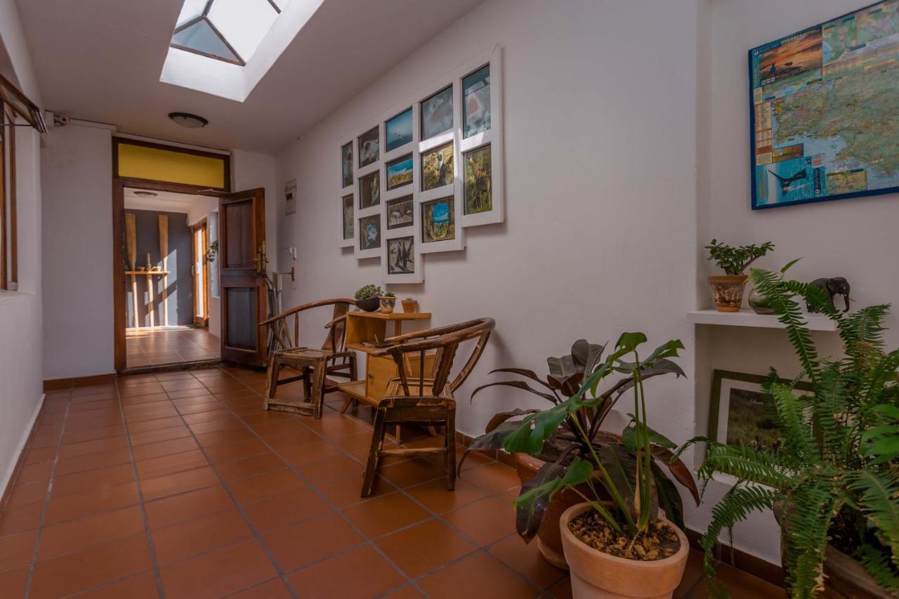 Saxon Lodge Gansbaai Extérieur photo