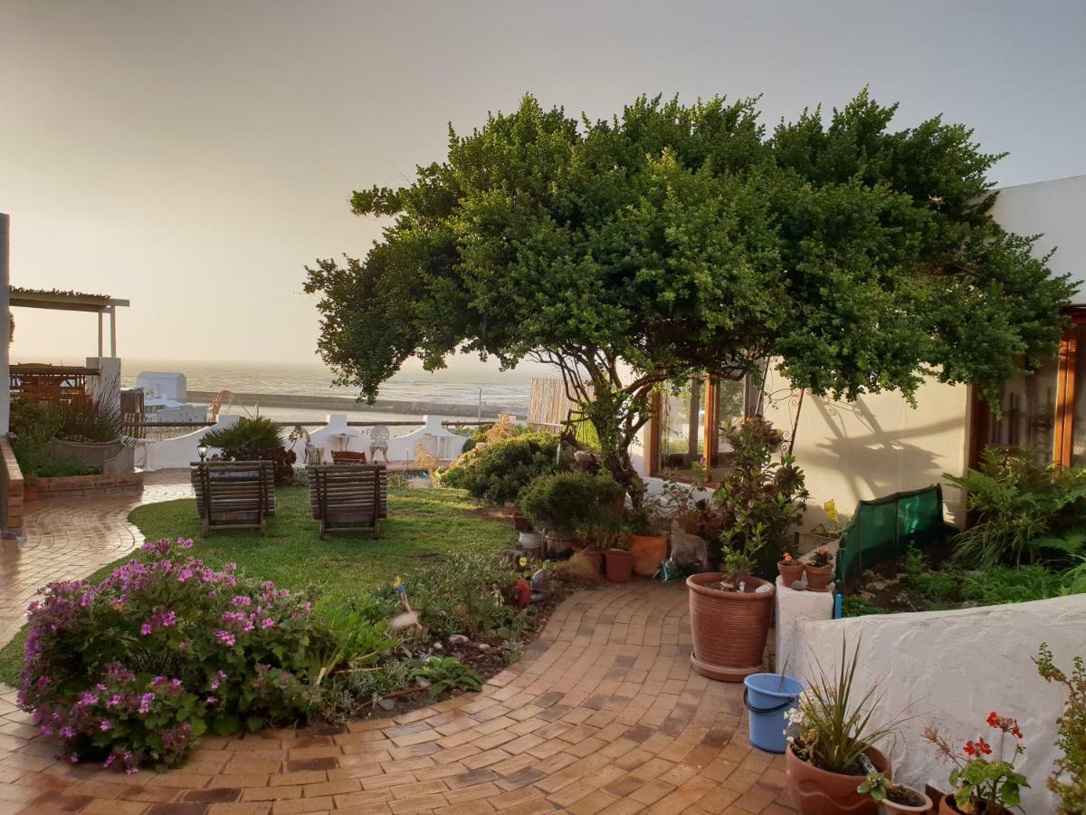 Saxon Lodge Gansbaai Extérieur photo
